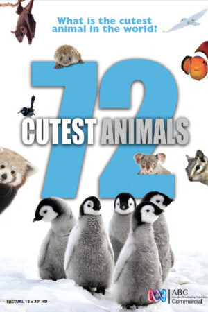 72 loài động vật dễ thương nhất